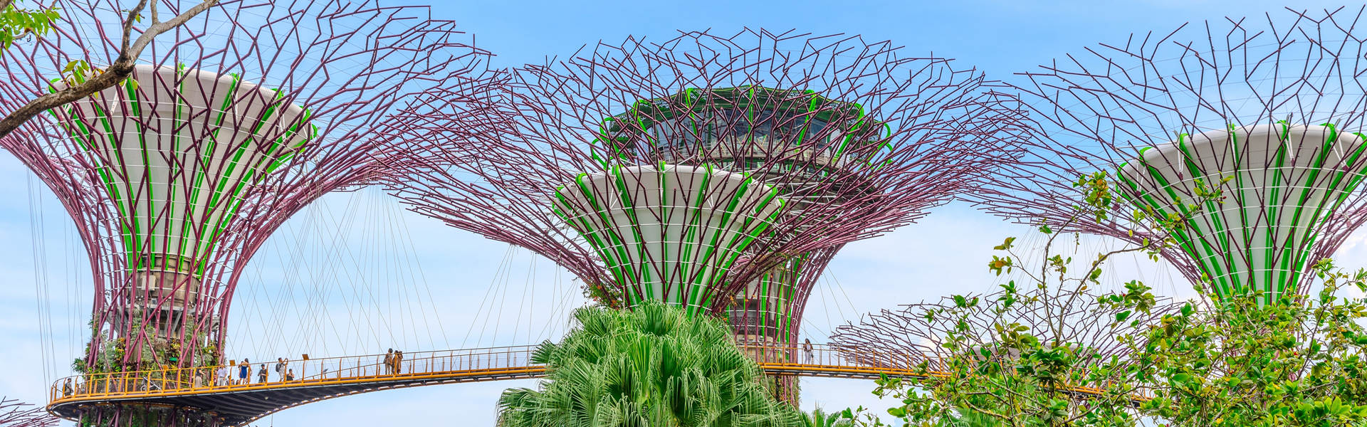 Argus Asia Carbon Conference | Argus Media