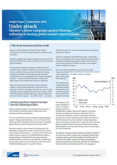 BIR under attack LP image