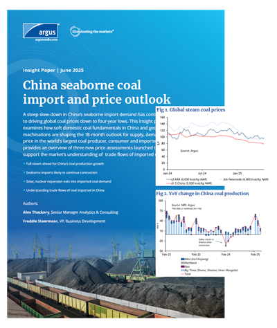 China seaborne coal import and price outlook