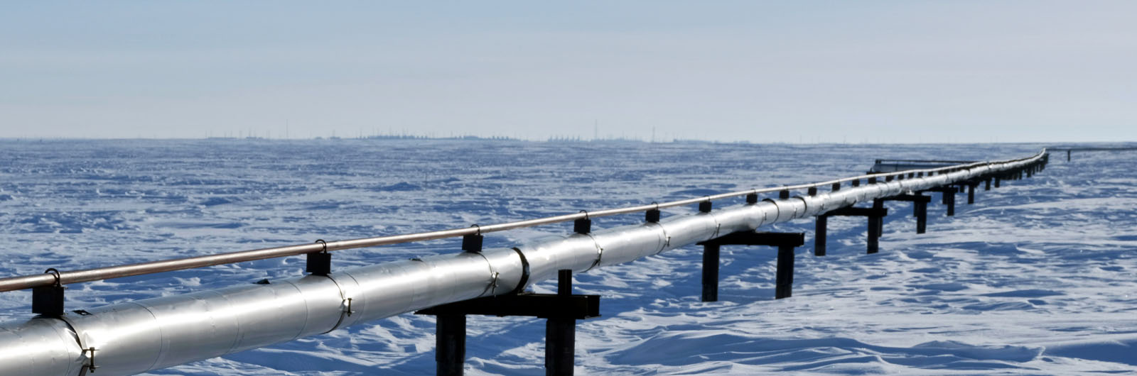 Market Talks: Brazilian Biofuels in Marine Fuels| Argus Media