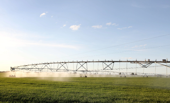 fertilizers