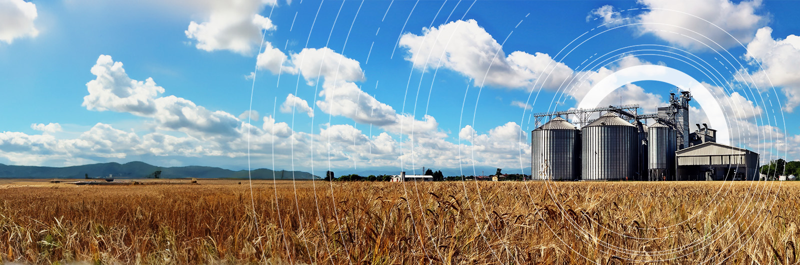 Argus German GHG quota prices | Argus Media