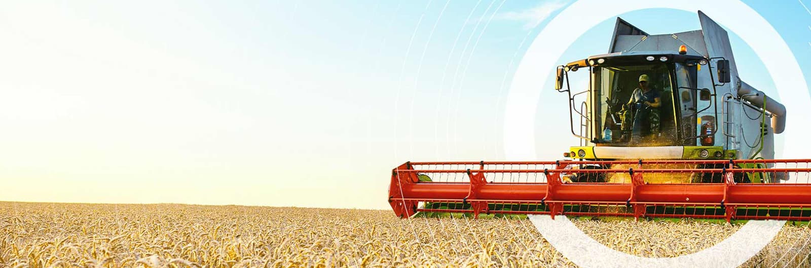 Agriculture: Combine harvester - desktop