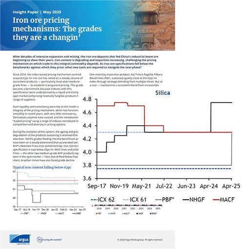 Iron ore Spot market dynamics